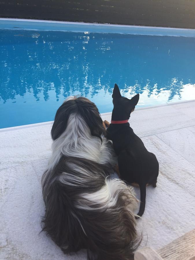 Spilia  Villa Glyfada מראה חיצוני תמונה